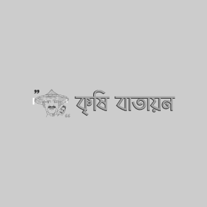 পাতাবাহারের মিলিবাগ